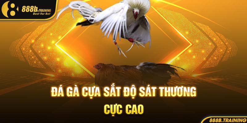 SẢNH CHƠI ĐÁ GÀ 888B GIẢI TRÍ MÁU LỬA, XEM LÀ MÊ 4 Đá gà cựa sắt độ sát thương cực cao